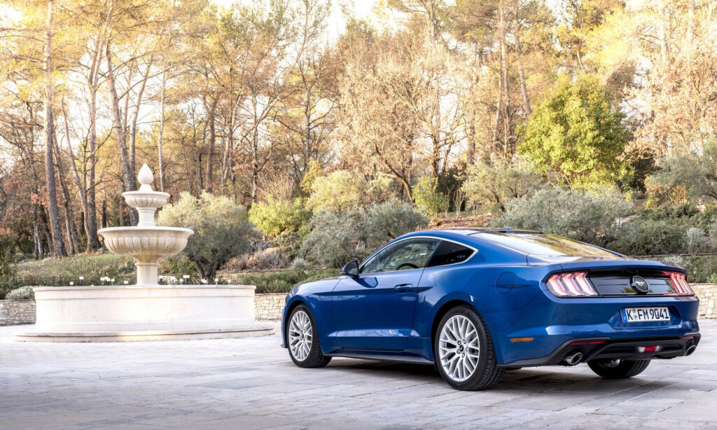 Ford Mustang (2015 - 2023) Fastback 5.0