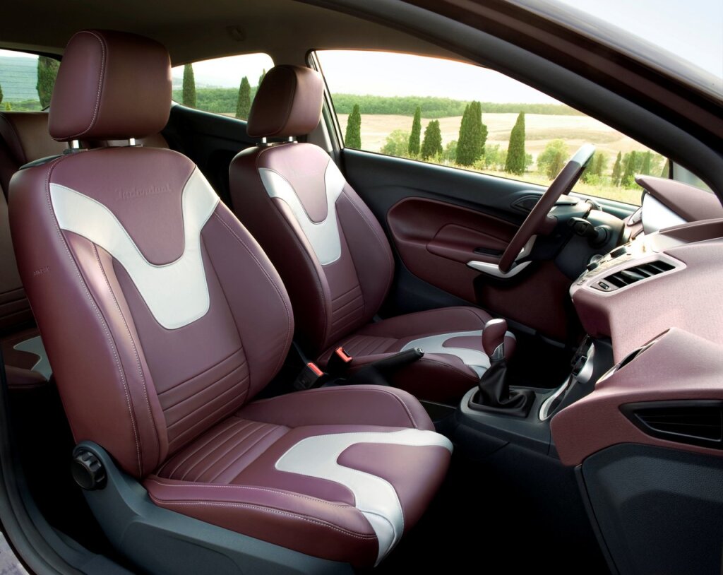 Ford Fiesta (2008 - 2017)