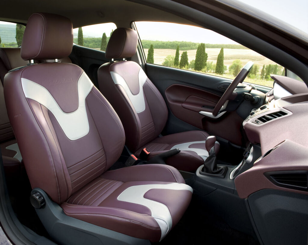 Ford Fiesta (2008 - 2017)