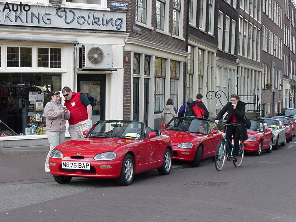 Dutch Tulip Tour (Amsterdam)