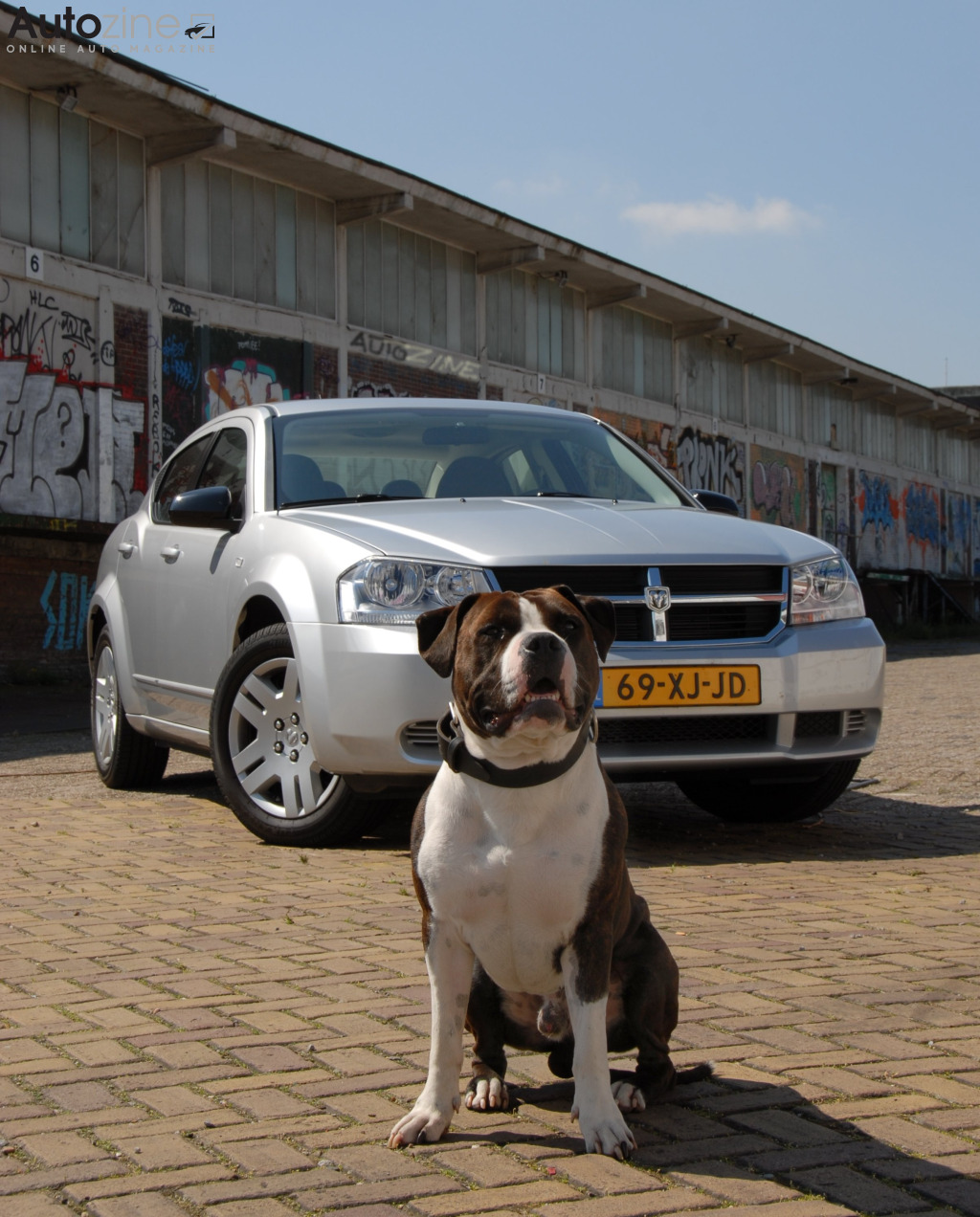 Dodge Avenger (Graffiti met Suco)